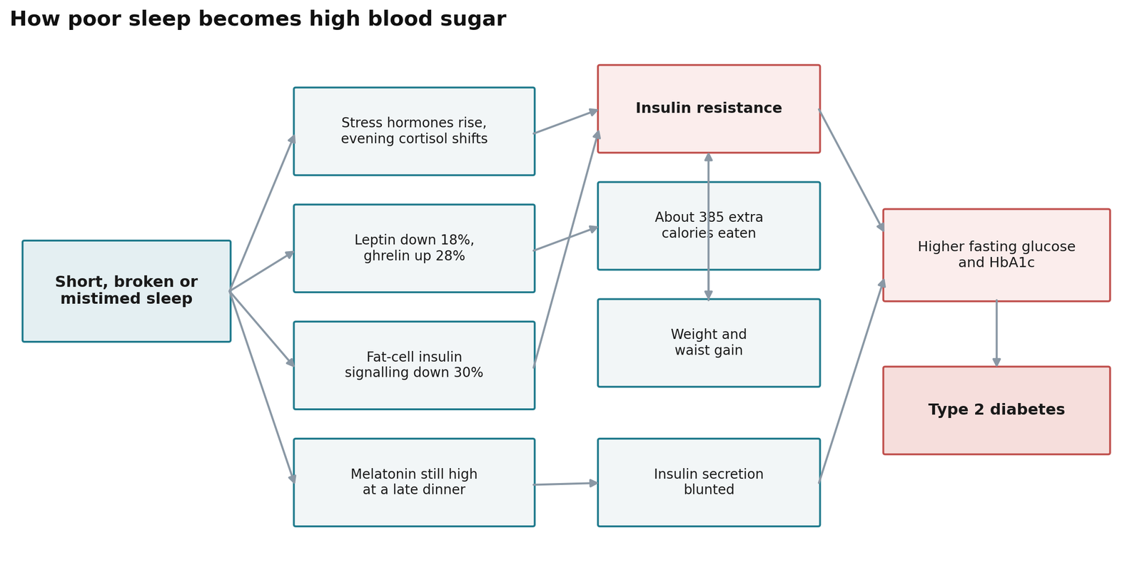 Flow diagram showing how short or mistimed sleep leads to insulin resistance and type 2 diabetes
Caption: Arrows show biologically supported pathways, not a claim that each one operates equally in every person. Percentages come from short controlled experiments and are not guaranteed individual outcomes.